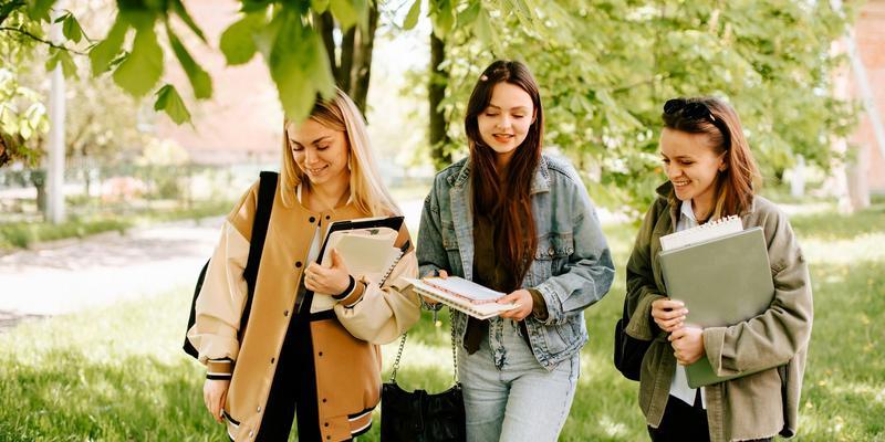 Débouchés du BTS CI : Quelles sont vos options après le diplôme ?